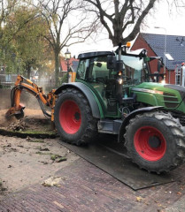 Bomen met schimmel Zieke boom herkennen Omgevallen boom verwijderen Schade door boomwortels Bomen snoeien tegen stormschade