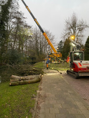 boom takelen wegfrezen boomstronk afzagen kettingzaag boomklimmer boomverzorger