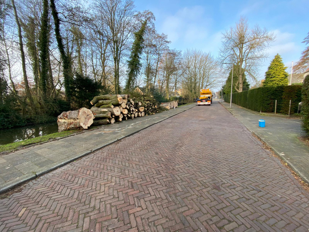 Boomverzorging Boomonderhoud Bomen snoeien Bomen kappen Boomchirurg Boomexpert Boomadvies Boominspectie Boombeheer Boomziektes Boomwortels
