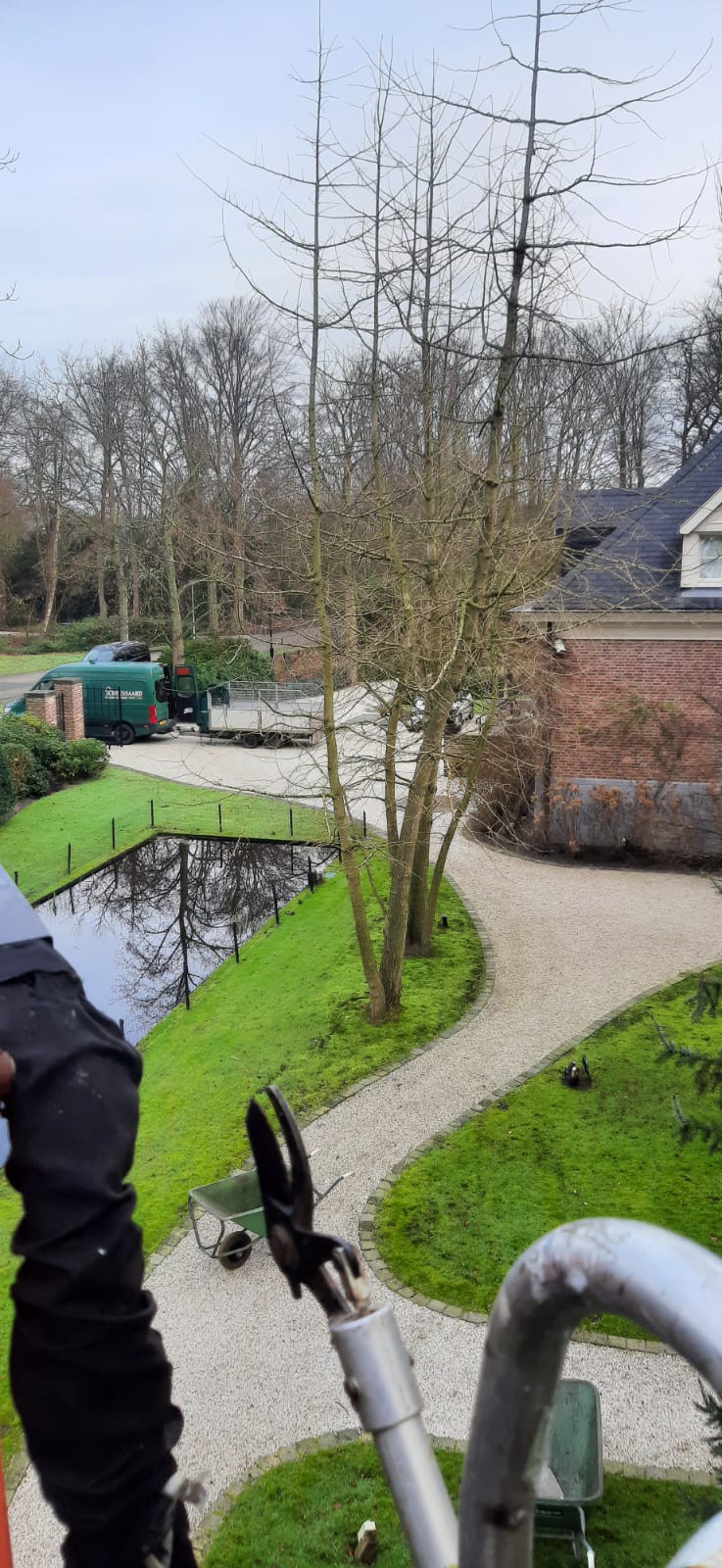 Boomverzorging Boomonderhoud Bomen snoeien Bomen kappen Boomchirurg Boomexpert Boomadvies Boominspectie Boombeheer Boomziektes Boomwortels