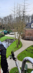 Boomverzorging Boomonderhoud Bomen snoeien Bomen kappen Boomchirurg Boomexpert Boomadvies Boominspectie Boombeheer Boomziektes Boomwortels