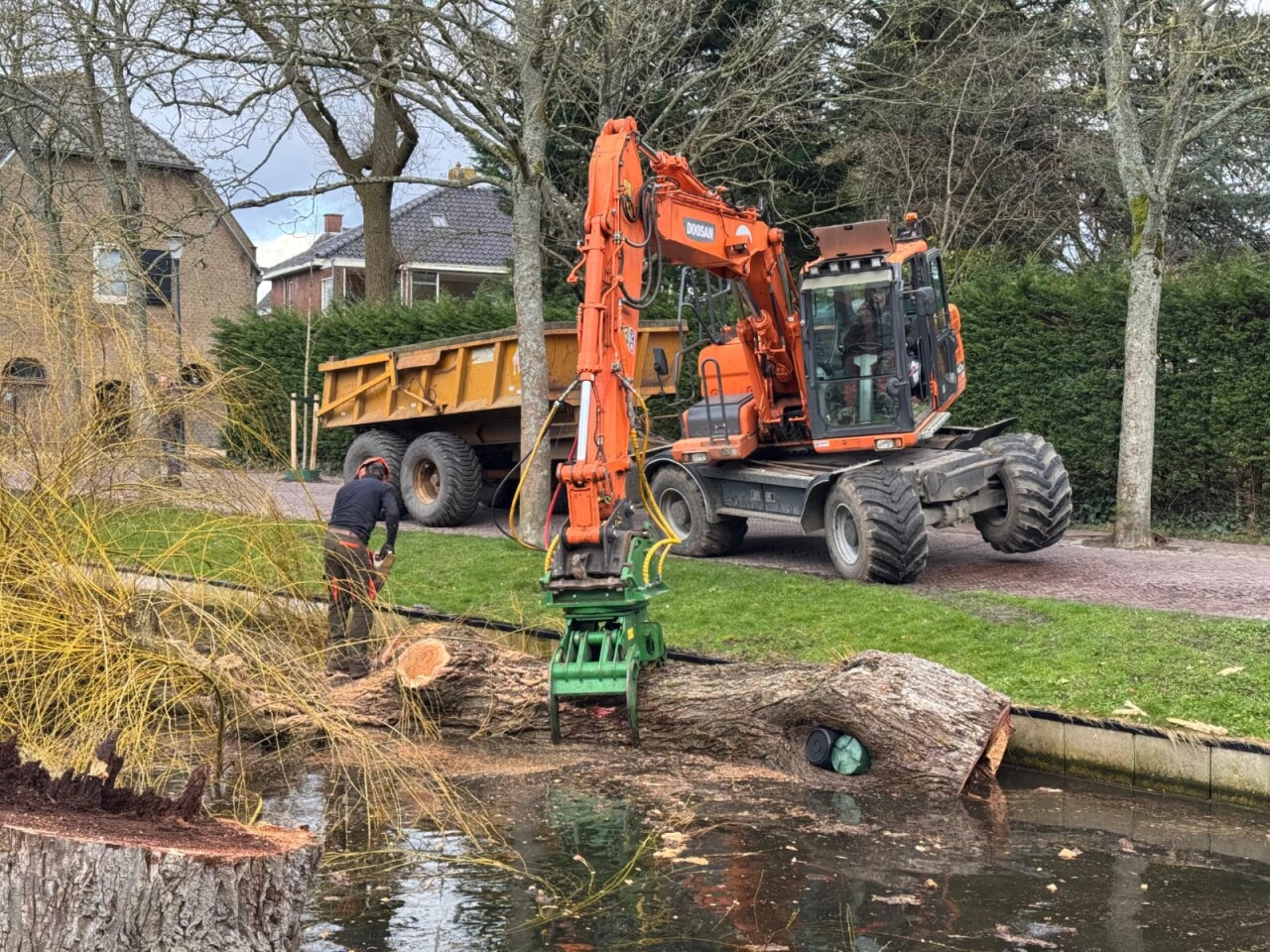 HBS laan Oud-Beijerland gemeente gemeente hoeksche waard brussaard planten beplanting boom rooien afzagen bomenwerk boomklimmer