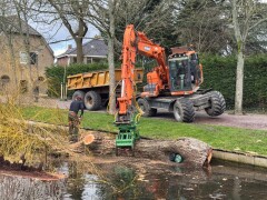 HBS laan Oud-Beijerland gemeente gemeente hoeksche waard brussaard planten beplanting boom rooien afzagen bomenwerk boomklimmer