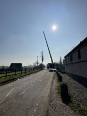 boom takelen wegfrezen boomstronk afzagen kettingzaag boomklimmer boomverzorger