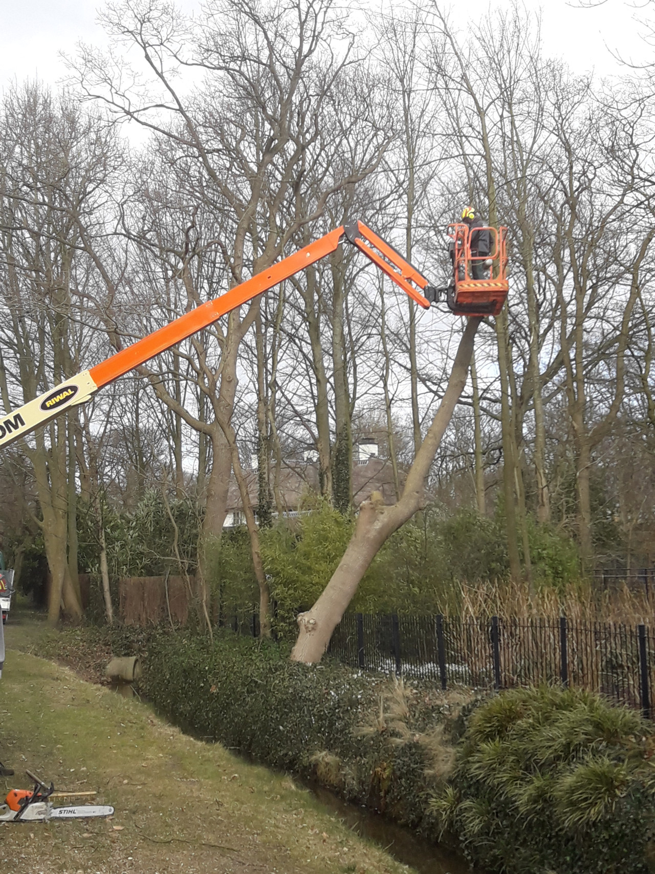 Boomverzorging Oud-Beijerland Nieuw-Beijerland Klaaswaal Heinenoord Mijnsheerenland  Bomen snoeien Oud-Beijerland Nieuw-Beijerland Klaaswaal Heinenoord Mijnsheerenland