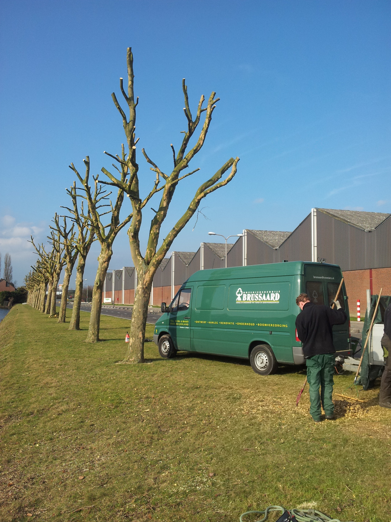 Boomverzorging Oud-Beijerland Nieuw-Beijerland Klaaswaal Heinenoord Mijnsheerenland  Bomen snoeien Oud-Beijerland Nieuw-Beijerland Klaaswaal Heinenoord Mijnsheerenland snoeien bomen bomen kappen wortels bomen weghalen verwijderen van bomen