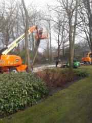 Boomverzorging Oud-Beijerland Nieuw-Beijerland Klaaswaal Heinenoord Mijnsheerenland  Bomen snoeien Oud-Beijerland Nieuw-Beijerland Klaaswaal Heinenoord Mijnsheerenland