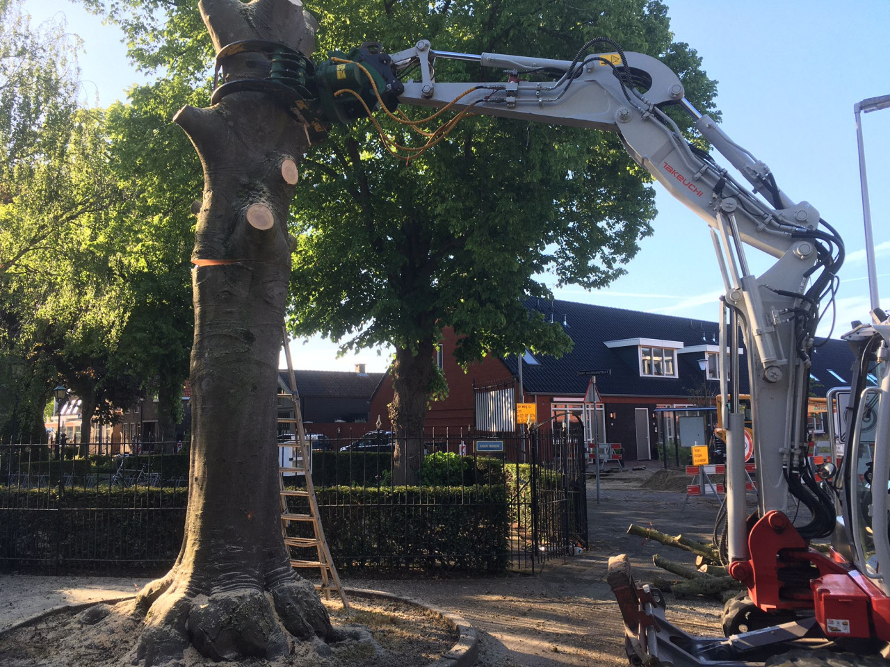 Hoe verzorg ik mijn boom? Wat kost een boomverzorger? Boom laten kappen vergunning nodig? Beste tijd om bomen te snoeien Boomziektes herkennen en behandelen Boomwortels die schade veroorzaken oplossen