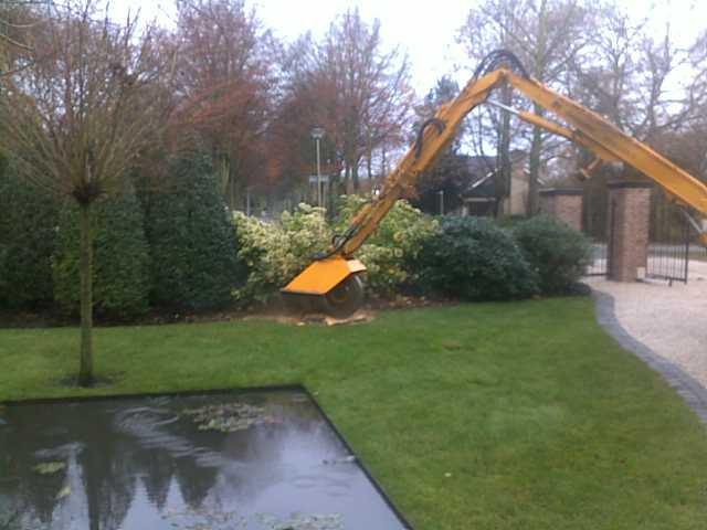 Hoe verzorg ik mijn boom? Wat kost een boomverzorger? Boom laten kappen vergunning nodig? Beste tijd om bomen te snoeien Boomziektes herkennen en behandelen Boomwortels die schade veroorzaken oplossen