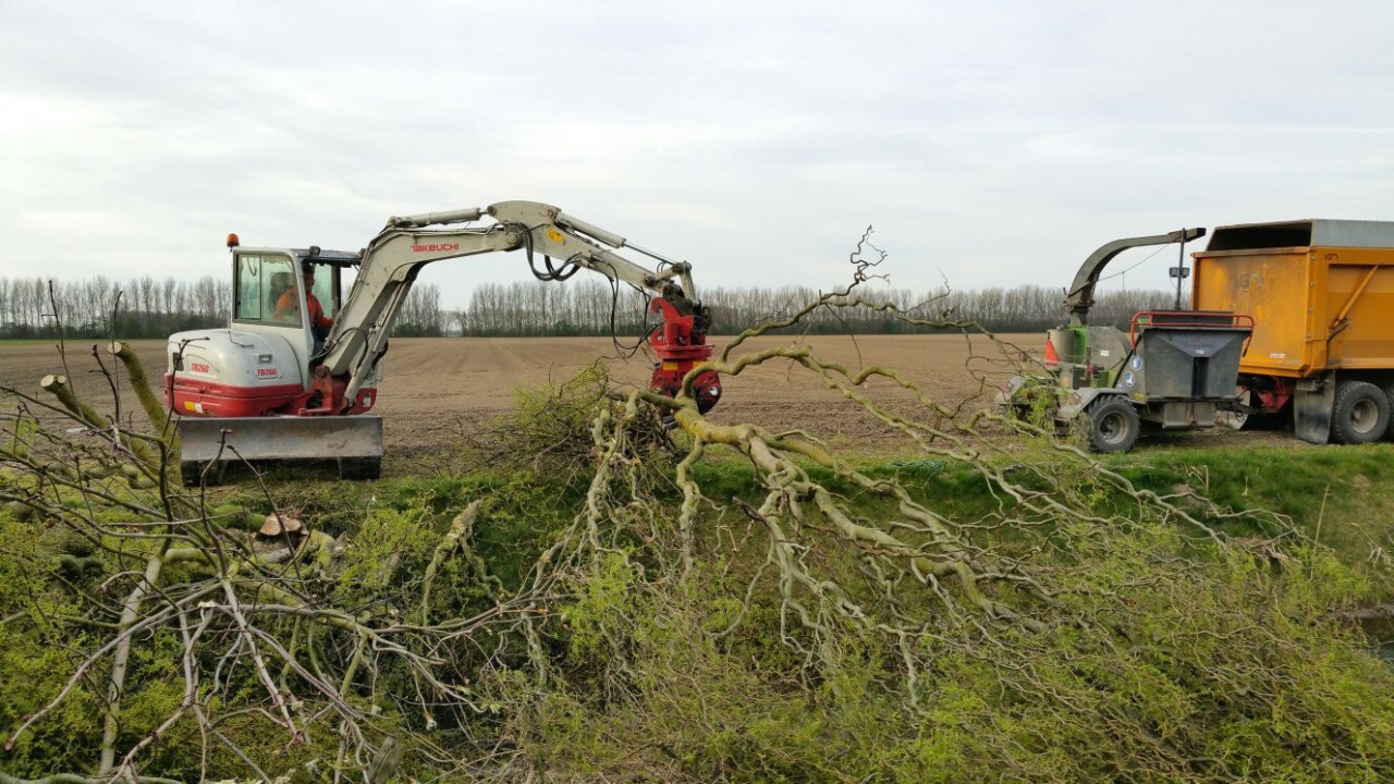 Hoe verzorg ik mijn boom? Wat kost een boomverzorger? Boom laten kappen vergunning nodig? Beste tijd om bomen te snoeien Boomziektes herkennen en behandelen Boomwortels die schade veroorzaken oplossen