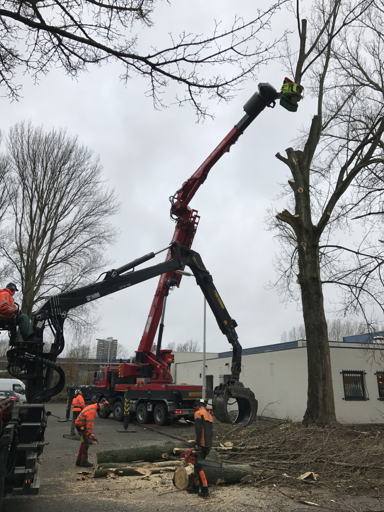 Hoe verzorg ik mijn boom? Wat kost een boomverzorger? Boom laten kappen vergunning nodig? Beste tijd om bomen te snoeien Boomziektes herkennen en behandelen Boomwortels die schade veroorzaken oplossen