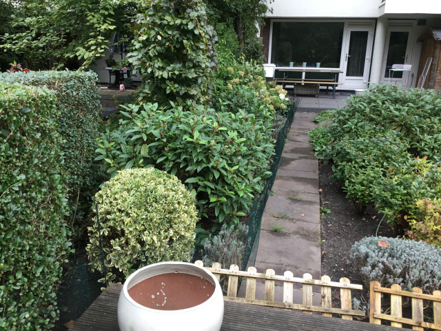 IMG 0366