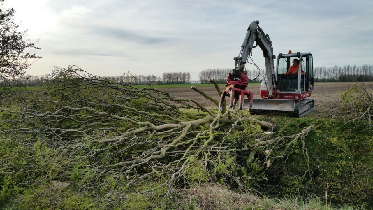 Hoe verzorg ik mijn boom? Wat kost een boomverzorger? Boom laten kappen vergunning nodig? Beste tijd om bomen te snoeien Boomziektes herkennen en behandelen Boomwortels die schade veroorzaken oplossen