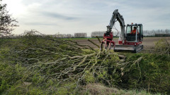 Hoe verzorg ik mijn boom? Wat kost een boomverzorger? Boom laten kappen vergunning nodig? Beste tijd om bomen te snoeien Boomziektes herkennen en behandelen Boomwortels die schade veroorzaken oplossen