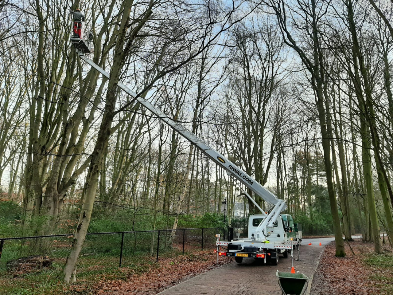 Zieke bomen behandelen Gevaarlijke bomen verwijderen Boomveiligheidscontrole Snoeien van fruitbomen Frezen van boomstronken Stormschade aan bomen Boomwortels verwijderen Planten van bomen