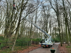 Zieke bomen behandelen Gevaarlijke bomen verwijderen Boomveiligheidscontrole Snoeien van fruitbomen Frezen van boomstronken Stormschade aan bomen Boomwortels verwijderen Planten van bomen