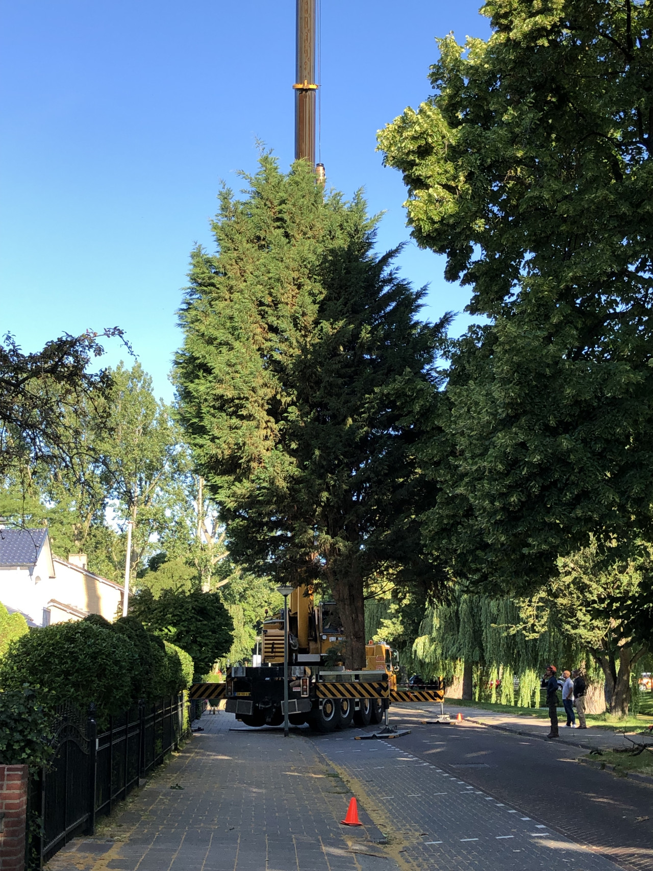 Zieke bomen behandelen Gevaarlijke bomen verwijderen Boomveiligheidscontrole Snoeien van fruitbomen Frezen van boomstronken Stormschade aan bomen Boomwortels verwijderen Planten van bomen